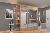 Шкаф-купе ЭлиГард Лагуна ШЛ-08.Л.3 (дуб сонома) картинка