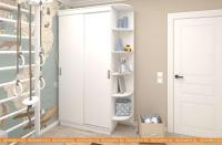 Шкаф-купе ЭлиГард Лагуна ШЛМ-02.П.0 (белый) картинка