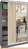 Шкаф-купе Кортекс-мебель Сенатор ШК10-45 Классика ДСП с зеркалом (береза/дуб сонома) картинка