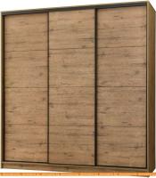 Шкаф-купе Рэйгрупп Bromo VVH3 03 РГ-07.03 B 237 VVH 237.5 (дуб велингтон/черный) картинка