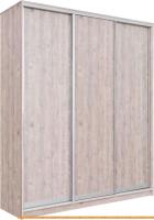 Шкаф-купе Рэйгрупп 203 SSX Elgon РГ-02.03 (сосна натуральная/хром) картинка
