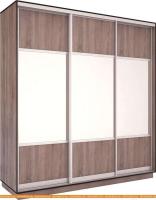Шкаф-купе Евва 203 TS.01 АЭП ШК.3 02 (трюфель/серебро) картинка