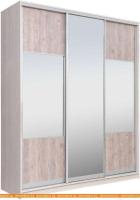 Шкаф-купе Рэйгрупп 203450 YSX Elgon РГ-02.06 (ясень снежный/сосна натуральная/хром) картинка