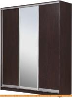 Шкаф-купе Рэйгрупп 203450 VVX Elgon РГ-08.02 (венге/хром) картинка