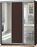 Шкаф-купе Vivat Mebel D3-03 240x60 (черное дерево) картинка