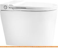 Унитаз Brunnen WAL BW-2402 картинка