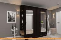 Шкаф-купе ЭлиГард Лагуна ШЛ-08.Л.2 (дуб марбург) картинка