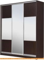 Шкаф-купе Рэйгрупп 176450 VVX Elgon РГ-09.06 (венге/хром) картинка
