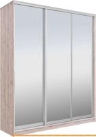 Шкаф-купе Рэйгрупп 203 SSX Elgon РГ-02.04 (сосна натуральная/хром) картинка