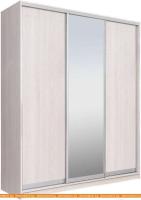 Шкаф-купе Рэйгрупп 176450 YYX Elgon РГ-03.02 (ясень снежный/хром) картинка