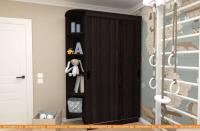 Шкаф-купе ЭлиГард Лагуна ШЛМ-02.Л.0 (дуб марбург) картинка