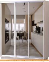 Шкаф-купе Vivat Mebel D3-04 220x60 (ясень шимо светлый) картинка