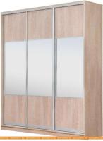 Шкаф-купе Рэйгрупп 233450 TTX Elgon РГ-07.01 (дуб торонто/хром) картинка