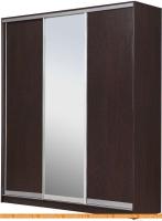 Шкаф-купе Рэйгрупп 176450 VVX Elgon РГ-09.02 (венге/хром) картинка