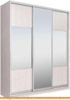 Шкаф-купе Рэйгрупп 203450 YYX Elgon РГ-02.06 (ясень снежный/хром) картинка