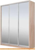 Шкаф-купе Рэйгрупп 203450 TTX Elgon РГ-02.04 (дуб торонто/хром) картинка