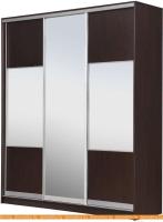 Шкаф-купе Рэйгрупп 203450 VVX Elgon РГ-08.06 (венге/хром) картинка