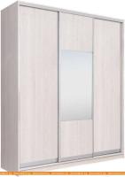 Шкаф-купе Рэйгрупп 203450 YYX Elgon РГ-02.05 (ясень снежный/хром) картинка
