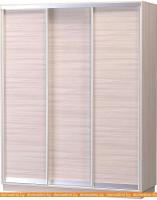 Шкаф-купе Vivat Mebel D3-01 240x60 (ясень шимо светлый) картинка