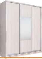 Шкаф-купе Рэйгрупп 233450 YYX Elgon РГ-07.05 (ясень снежный/хром) картинка