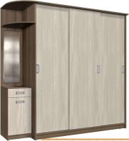 Шкаф-купе Интерлиния Андора АН20.00.04 (ясень шимо светлый/ясень шимо темный) картинка