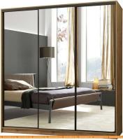 Шкаф-купе Рэйгрупп Bromo VVH3 01 РГ-07.01 B 237 VVH 237.5 (дуб велингтон/черный) картинка