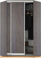 Шкаф-купе Кортекс-мебель Сенатор ШК30 Классика ДСП (береза) картинка