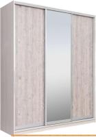 Шкаф-купе Рэйгрупп 203 YSX Elgon РГ-02.02 (ясень снежный/сосна/хром) картинка