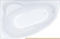 Ванны Triton Николь 160x100L (с ножками) картинка