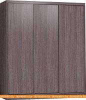 Шкаф-купе Глазов Домашний 2000 ЛДСП (ясень анкор темный) картинка