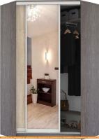 Шкаф-купе Кортекс-мебель Сенатор ШК30 Классика ДСП с зеркалом (береза/дуб сонома) картинка