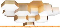 Потолочная люстра Lightstar Favo LED 750121 картинка