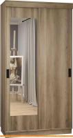 Шкаф-купе ЭлиГард Лагуна ШЛ-01.1 (дуб каньон) картинка
