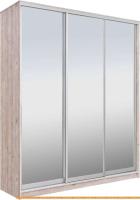 Шкаф-купе Рэйгрупп 203 SSX Elgon РГ-08.04 (сосна натуральная/хром) картинка