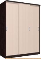 Шкаф-купе Интерлиния Неаполь АН-012-17-00 БФ (дуб молочный/дуб венге) картинка