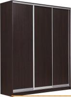 Шкаф-купе Рэйгрупп 203 VVX Elgon РГ-08.03 (венге/хром) картинка