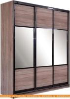 Шкаф-купе Евва 21 TTG.01 АЭП ШК.3 02 (трюфель/венге глянец) картинка