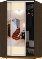 Шкаф-купе Кортекс-мебель Сенатор ШК30 Геометрия ДСП с зеркалом (венге/венге светлый) картинка