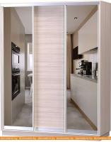 Шкаф-купе Vivat Mebel D3-03 240x60 (ясень шимо светлый) картинка