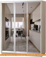 Шкаф-купе Vivat Mebel D3-04 220x60 (дуб сонома) картинка