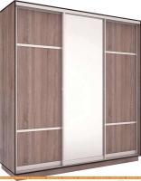 Шкаф-купе Евва 176TS.02 АЭП ШК.3 03 (трюфель/серебро) картинка