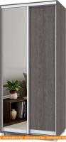 Шкаф-купе Modern Роланд 1000 (600) (анкор темный/зеркало) картинка