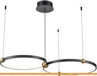 Подвесная люстра Vele Luce Atomo VL7252P22 картинка