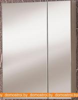 Шкаф с зеркалом Акваль Женева 50 ЖЕНЕВА.04.50.10.N картинка