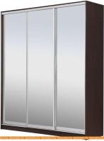 Шкаф-купе Рэйгрупп 203450 VVX Elgon РГ-08.04 (венге/хром) картинка