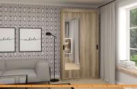 Шкаф-купе ЭлиГард Лагуна ШЛМ-01.1 (дуб каньон) картинка