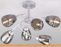 Люстра Евросвет 30168/6 (Matt Silver) картинка