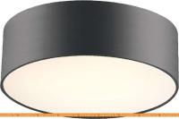 Потолочная люстра Favourite Cerchi 1514-2C1 картинка