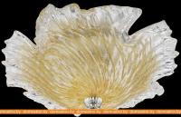 Светильник тарелка Lightstar 601053 картинка