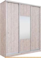 Шкаф-купе Рэйгрупп 203 SSX Elgon РГ-08.05 (сосна натуральная/хром) картинка